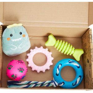 5 Pcs Dog Toy Set for Small Dog - Random by Bristar