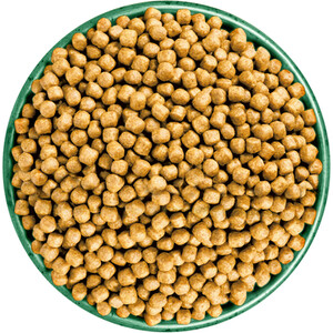 James Wellbeloved Turkey Kitten Food 1.5kg by James Wellbeloved