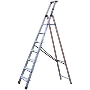 Maxi Platform Step Ladder - Silver / 237cm by TB Davies