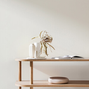 Craig and Rose Chalky Matt Emulsion by Craig & Rose