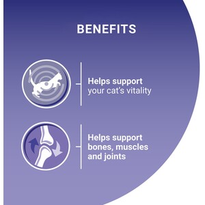 Pack of 40 Purina One Mini Fillets in Gravy by Purina One