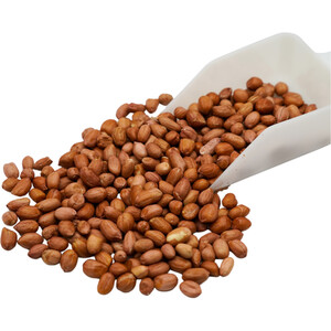 Johnston and Jeff Peanuts Tub - Brown by Johnston and Jeff