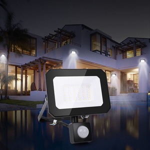 Outdoor LED Cool White Floodlights 10W-100W - Black / 20WW by Alivio