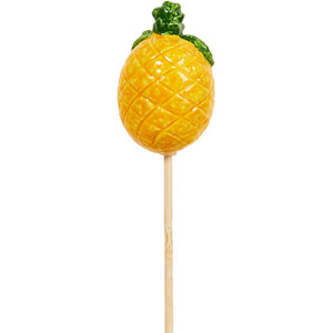 Fruit and Veg Garden Stakes