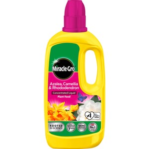 Miracle-Gro Ericaceous Concentrate Feed by Miracle-Gro