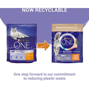 Purina ONE Adult Dry Cat Food - 800g / Chicken and Whole Grains by Purina ONE