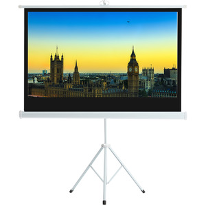 Portable Projector Screen with Metal Tripod Stand - White / 100 Inches by Livingandhome