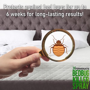 Bed Bug Killer With Pump Sprayer - Clear / 5l by Xterminate