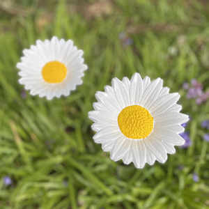 Cast Iron Daisy Bird Feeder - White by Selections