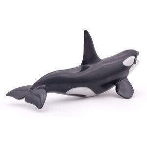 PAPO Marine Life Killer Whale Toy Figure - Black by PAPO