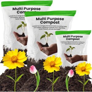 10 Litre Multi-Purpose Compost With Nutrient Enhanced Formula - Brown by STORM TRADING GROUP