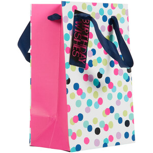 Pack of 2 Polka Medium and Small Gift Bags - Blue and White
