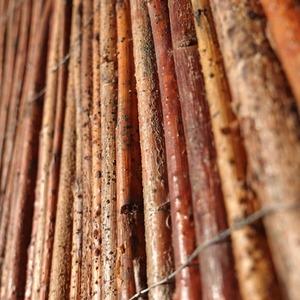 Premium Willow Fencing Screening Rolls by Woven Wood