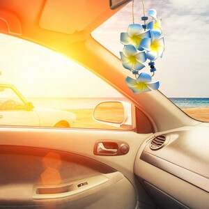 Frsh Scents Necklace Air Freshener - Hawaiian Breeze by Frsh Scents