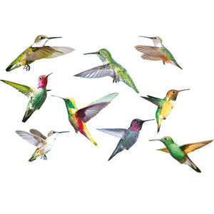 Set of 9 Hummingbird Decorative Stickers - Colourful