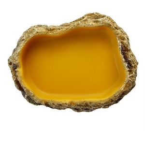 Swell Reptiles Food Dish by Swell Reptiles