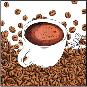 Spectrum Noir Classique 6 Pack - Earthy Browns by Spectrum Noir