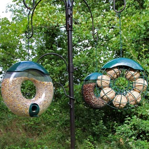 Circular Bird Feeder 3 Piece Set - Green by Actiaspet