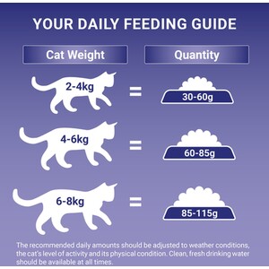 Purina ONE Adult Dry Cat Food - 3kg / Salmon and Whole Grains by Purina ONE