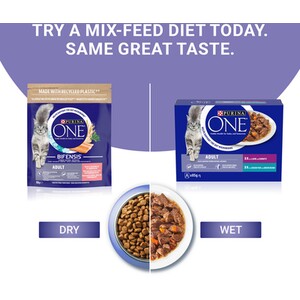 Purina ONE Adult Dry Cat Food - 800g / Salmon and Whole Grains by Purina ONE