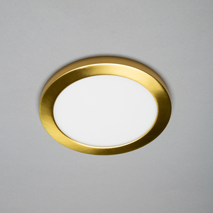 Darly LED 18 Watt Flush Ceiling or Wall Light - Satin Brass by Litecraft