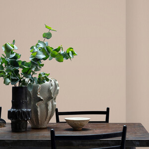 Craig and Rose Chalky Matt Emulsion by Craig & Rose