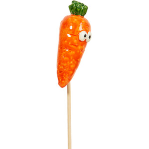 Fruit and Veg Garden Stakes