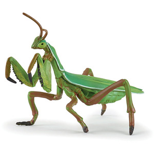 PAPO Wild Animal Kingdom Praying Mantis Toy Figure - Green by PAPO