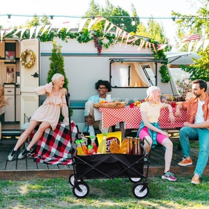 Foldable Garden Trolley - Black by Alivio