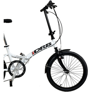 Dallingridge Freedom 20