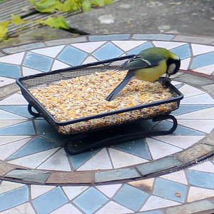 Bird Feeder Tray - Black by Actiaspet