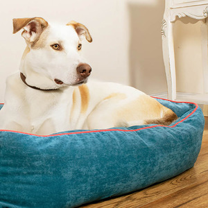 Patterned Anti Anxiety Dog Bed Medium Large - Blue by Ministry of pets