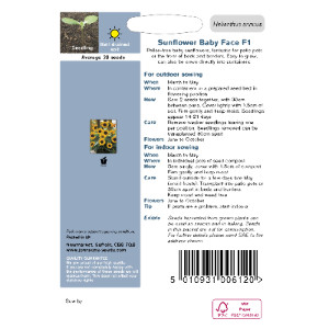 Pack of Baby Face F1 Sunflower Seeds by Johnsons