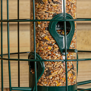 Wild Bird Seed Feeder with Squirrel Guard - Green / 2 by Samuel Alexander