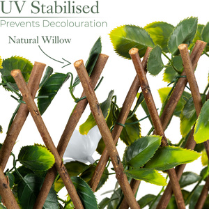 Expanding Artificial Trellis with Flowers - White by Christow