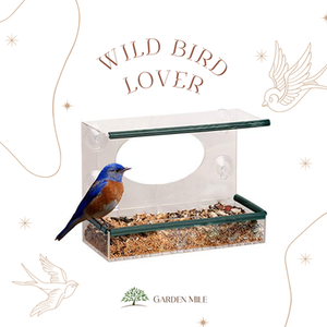 Clear Perspex Window Bird Feeder - Clear by Garden Mile