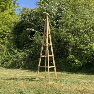 Wooden Garden Obelisk - Brown / 2 by Selections