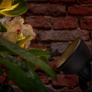 Raf 12V LED Outdoor Spotlight - Black by Techmar