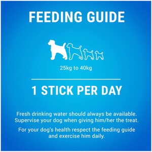 Dentalife Big Pack Sticks - Large by Dentalife