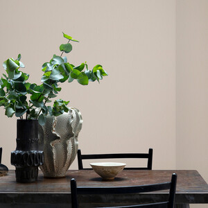 Craig and Rose Chalky Matt Emulsion by Craig & Rose