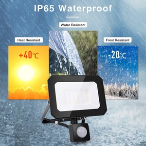 Outdoor LED Cool White Floodlights 10W-100W - Black / 20WW by Alivio
