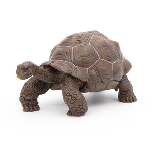 PAPO Wild Animal Kingdom Galapagos Tortoise Toy Figure - Green by PAPO