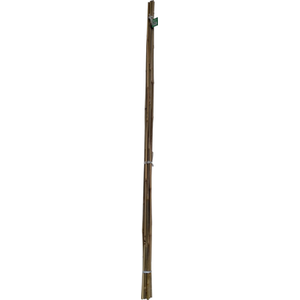 Garden Bamboo Canes - 10 / 120cm