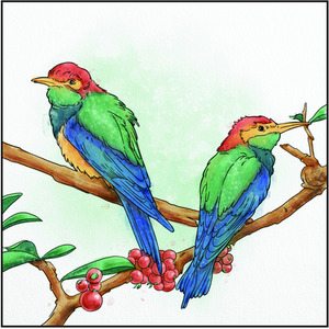 Spectrum Noir Aqua 12 Pack by Spectrum Noir