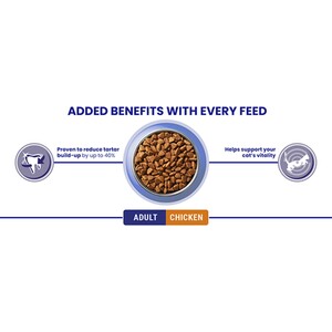 Purina ONE Adult Dry Cat Food - 3kg / Chicken and Whole Grains by Purina ONE