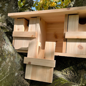 Sparrow Colony Terrace Wooden Nesting Box with Removable Nest Fronts - Brown by Selections