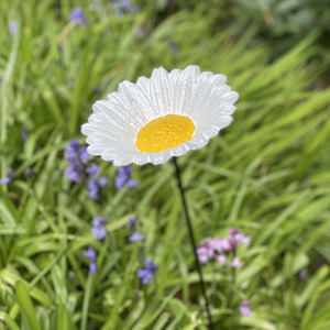 Cast Iron Daisy Bird Feeder - White by Selections