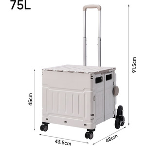 Folding Stair Climbing Shopping Trolley by lifeideas