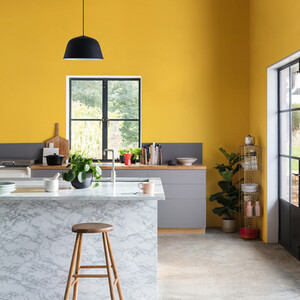 Craig and Rose Chalky Matt Emulsion by Craig & Rose