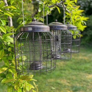 Heavy Duty Squirrel Proof Hanging Nut, Seed and Fat Ball Bird Feeders - Bronze by Selections